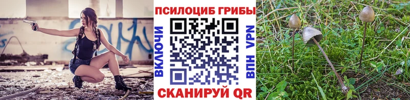 Купить закладки  Калининск  Галлюциногенные грибы Psilocybine cubensis 